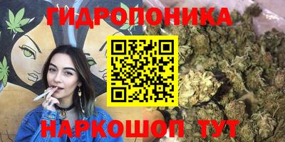 ПСИЛОЦИБИНОВЫЕ ГРИБЫ Балахна