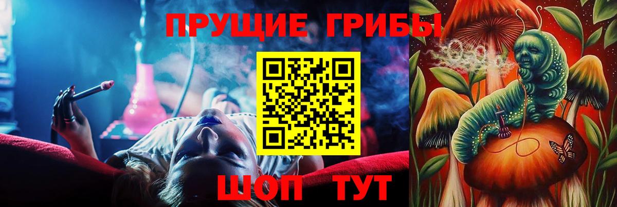 Гуково  Псилоцибиновые грибы прущие грибы  Вход с VPN 